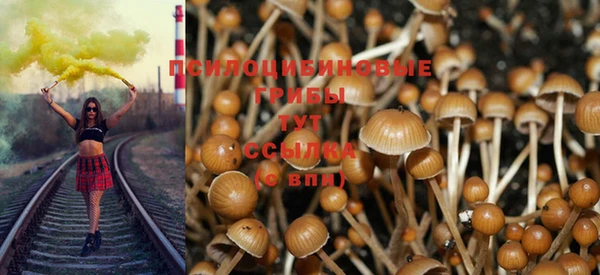 COCAINE Арсеньев
